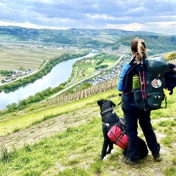 439213461_7374405849274921_7811417655553943506_n-1